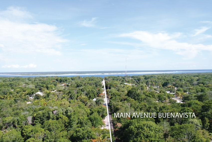 Main-avenue-Buenavista