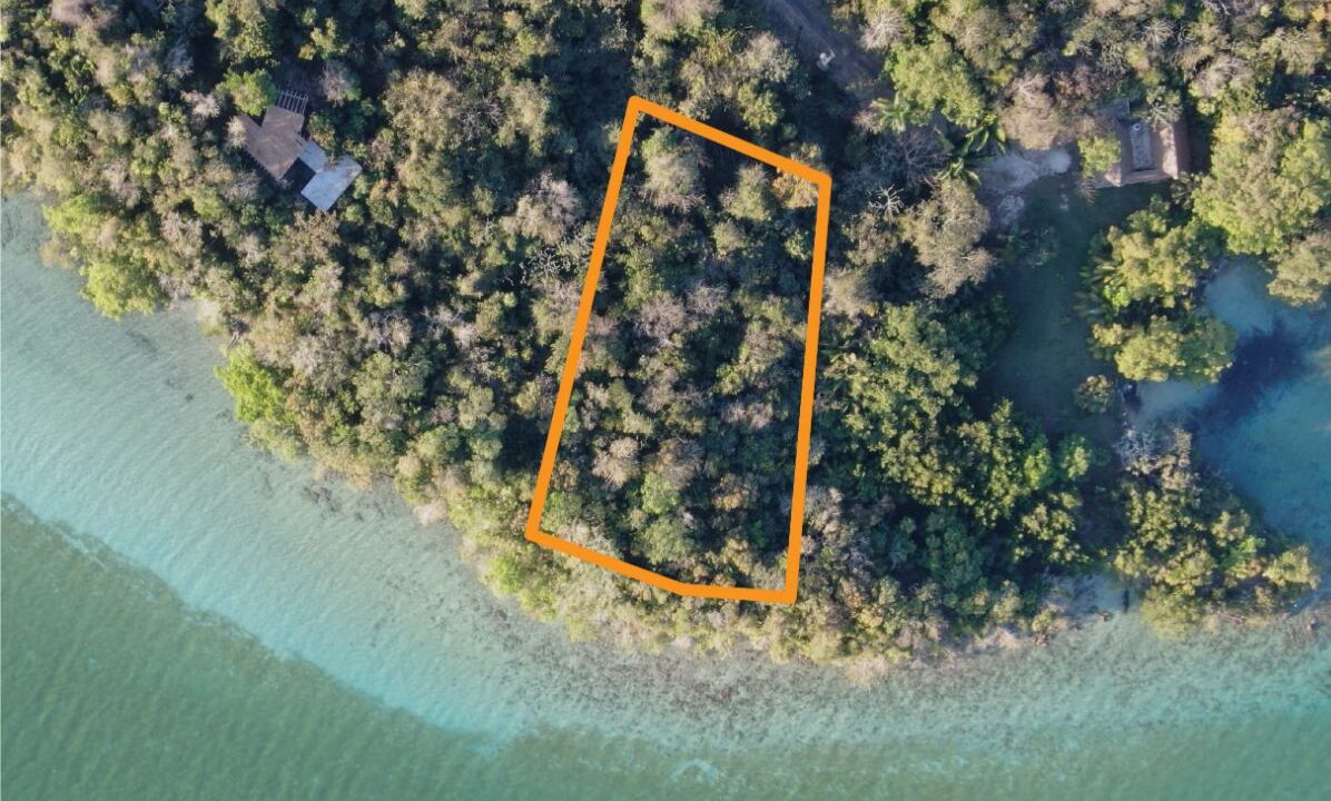 WhatsApp Image 2025-07-28 at 23.27.56