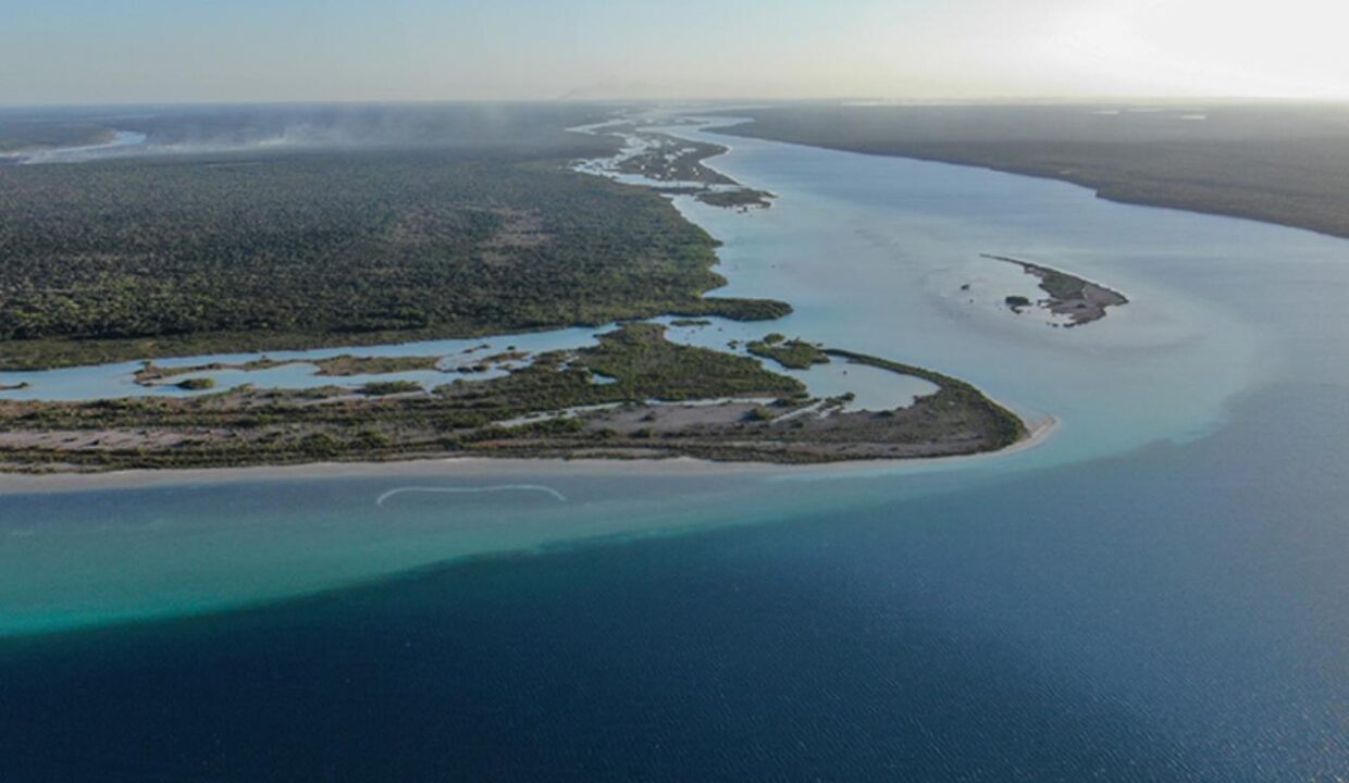 WhatsApp Image 2025-07-28 at 23.27.56 (2)