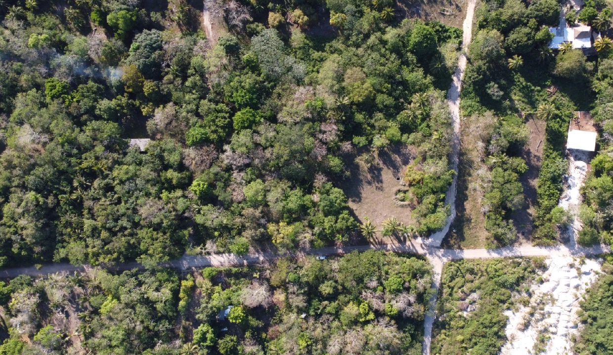 Lot 4 · Four Palms Bacalar-04